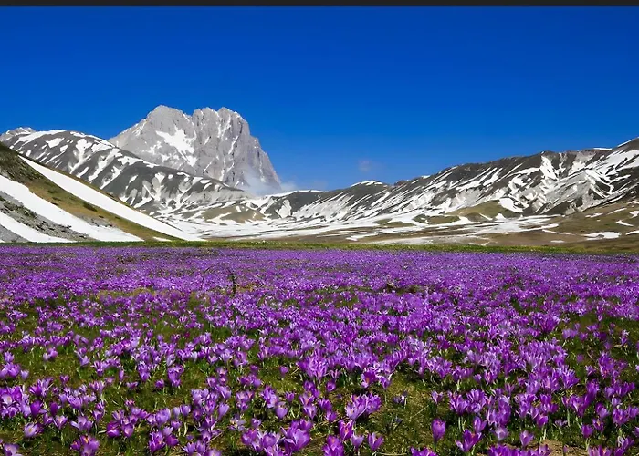 Sunset Escape, Relax A Due Passi Dal Mare Con Terrazza E Aria Condizionata