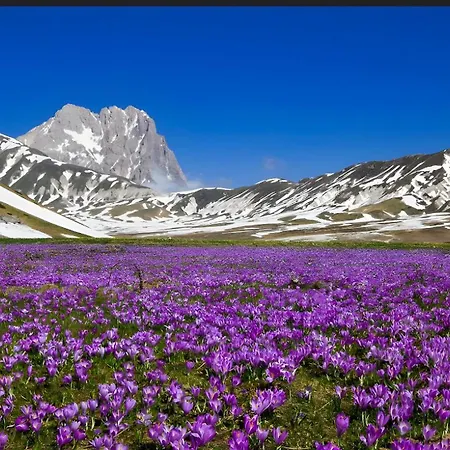 Sunset Escape, Relax A Due Passi Dal Mare Con Terrazza E Aria Condizionata